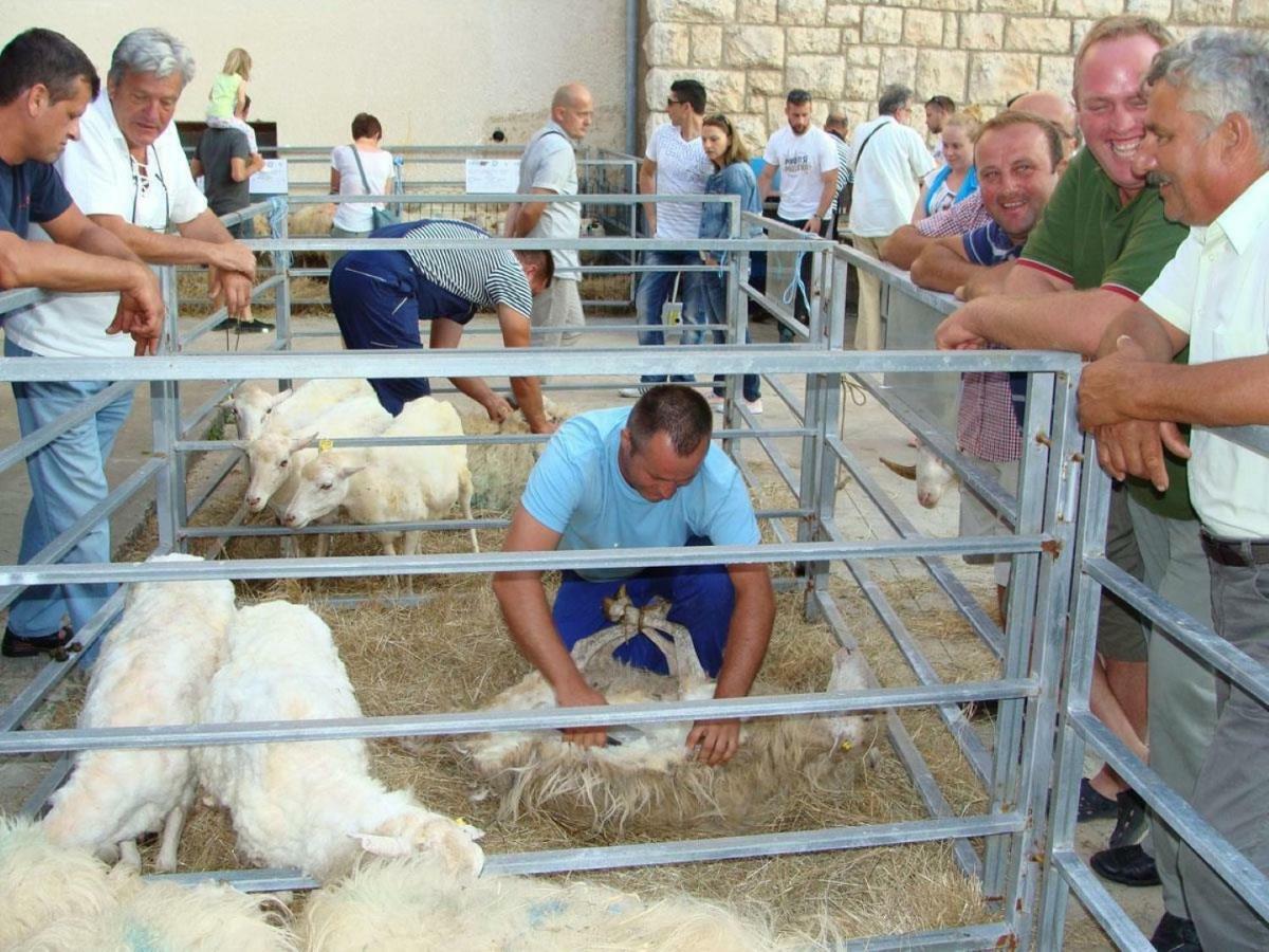 Adriatic Arteon Διαμέρισμα Baška Εξωτερικό φωτογραφία